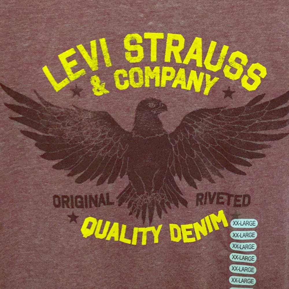 Levi’s distressed shirt